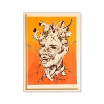 Anatomie du coeur
