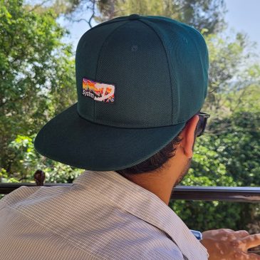 Systmd – Classic 6 panels cap